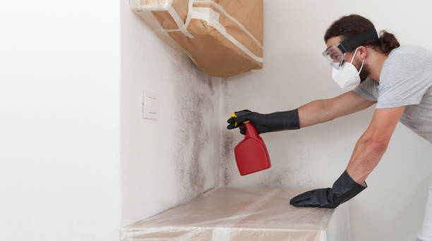 Professional Bathroom Mold Removal technician working in Brooklyn, NY