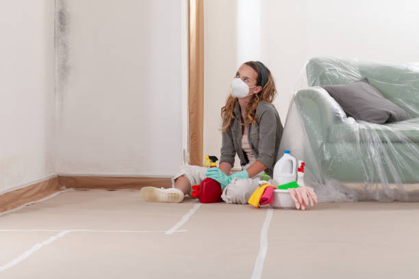 Reliable Bathroom Mold Removal contractor in Brooklyn, NY by WQB Mold Removal